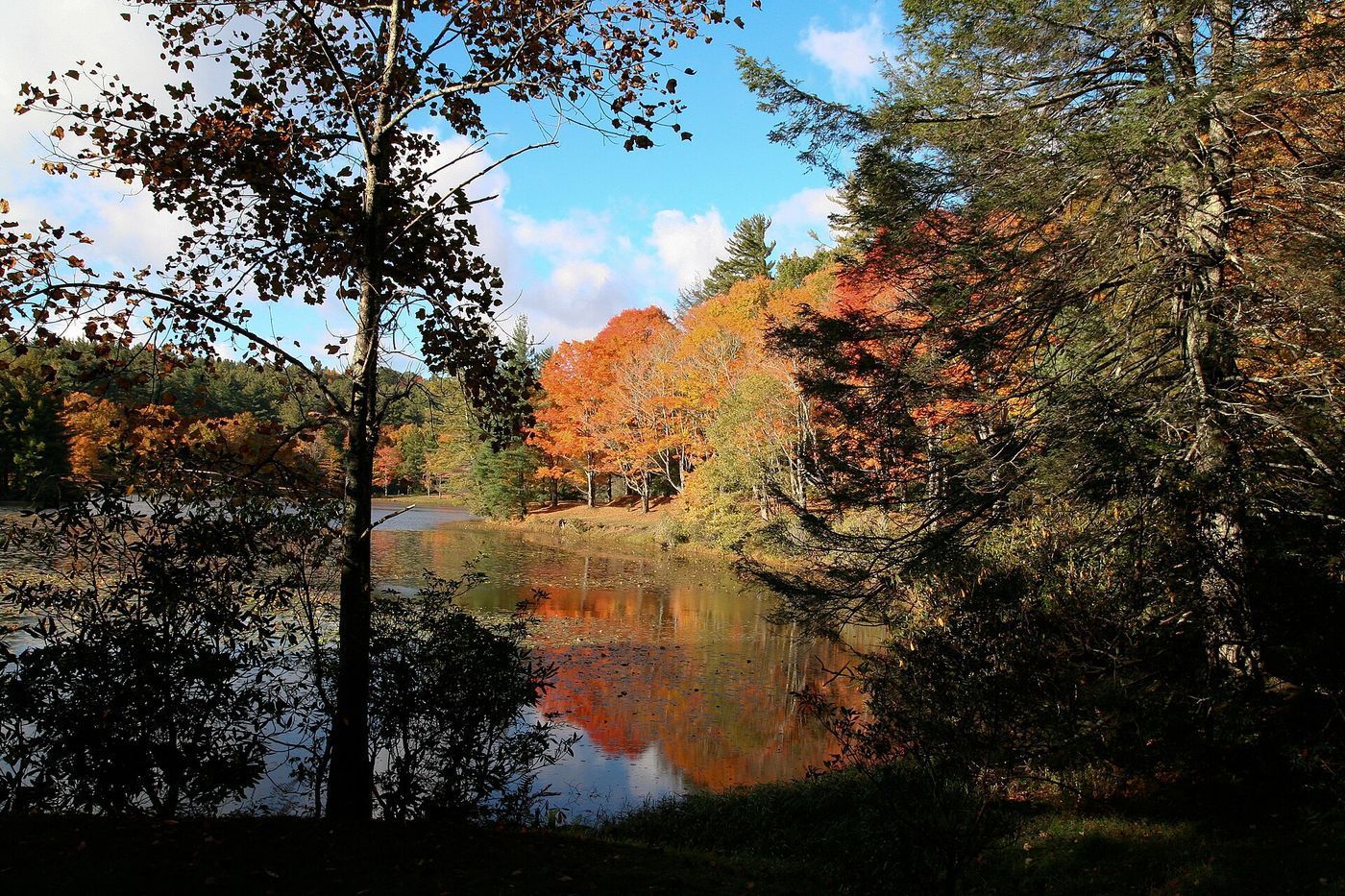 Moses Cone Memorial Park and Blowing Rock