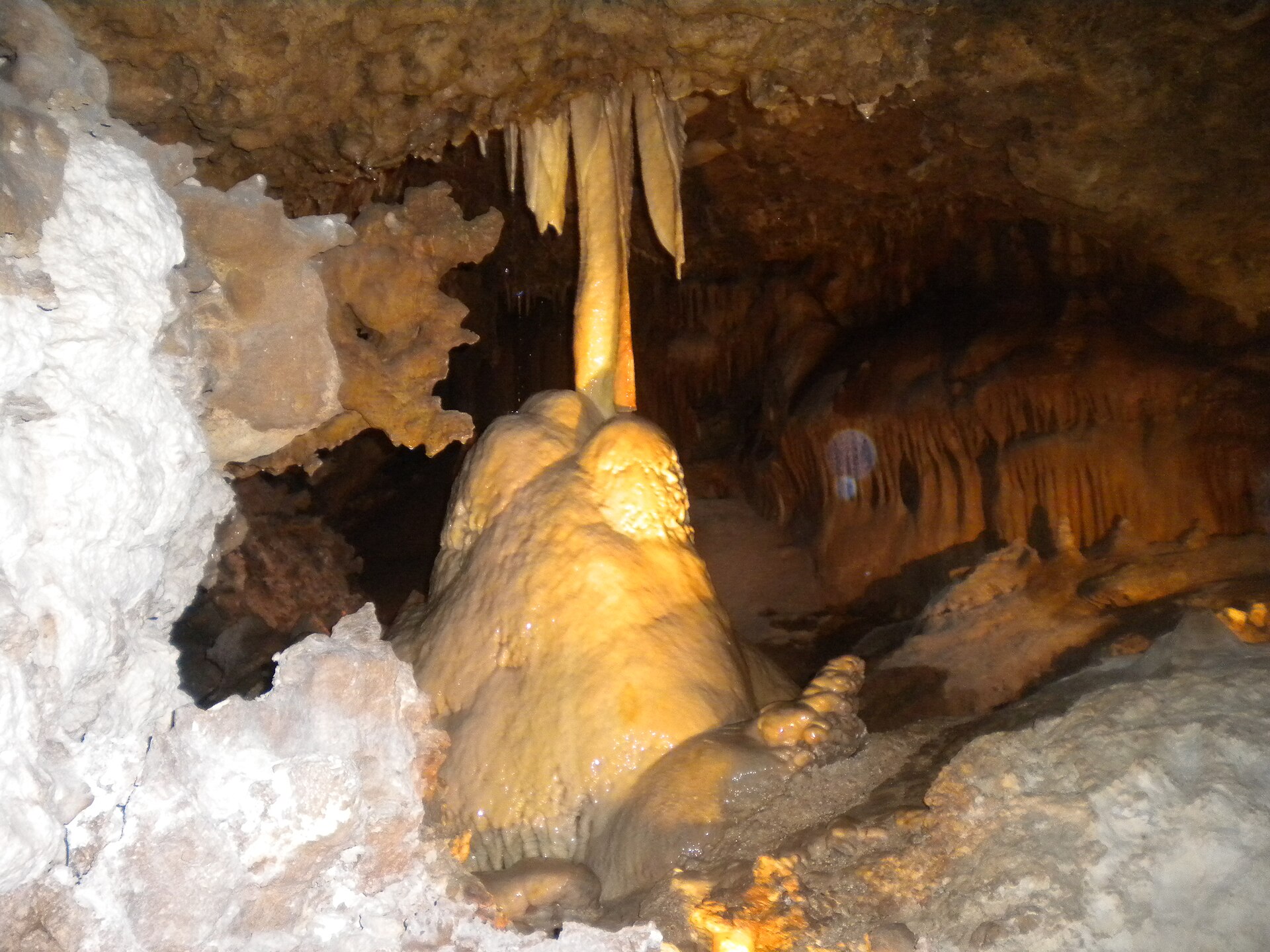Inner Space Cavern, Georgetown