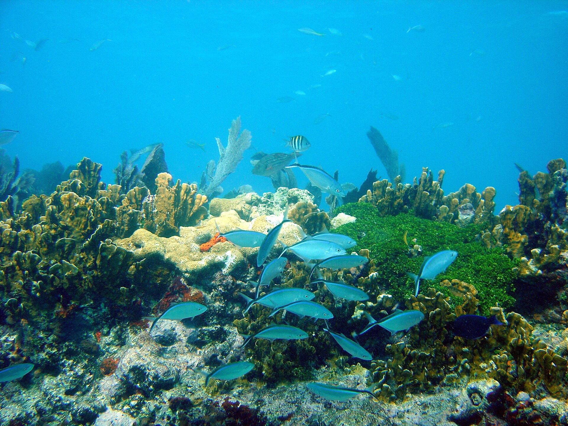 Miami to Key West: Three Good Stops
