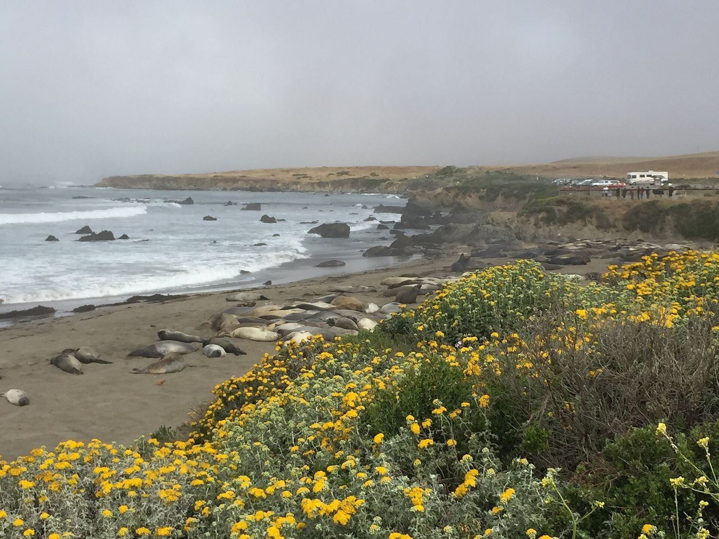 San Simeon and Piedras Blancas
