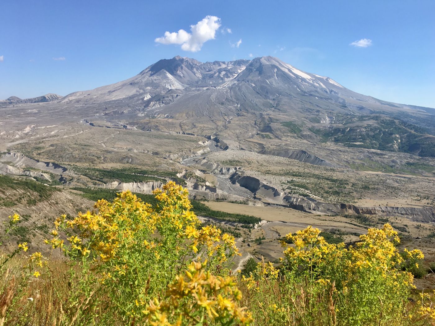Mount St. Helens (from Castle Rock)